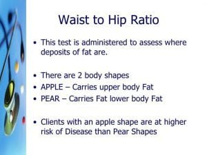 Waist 4